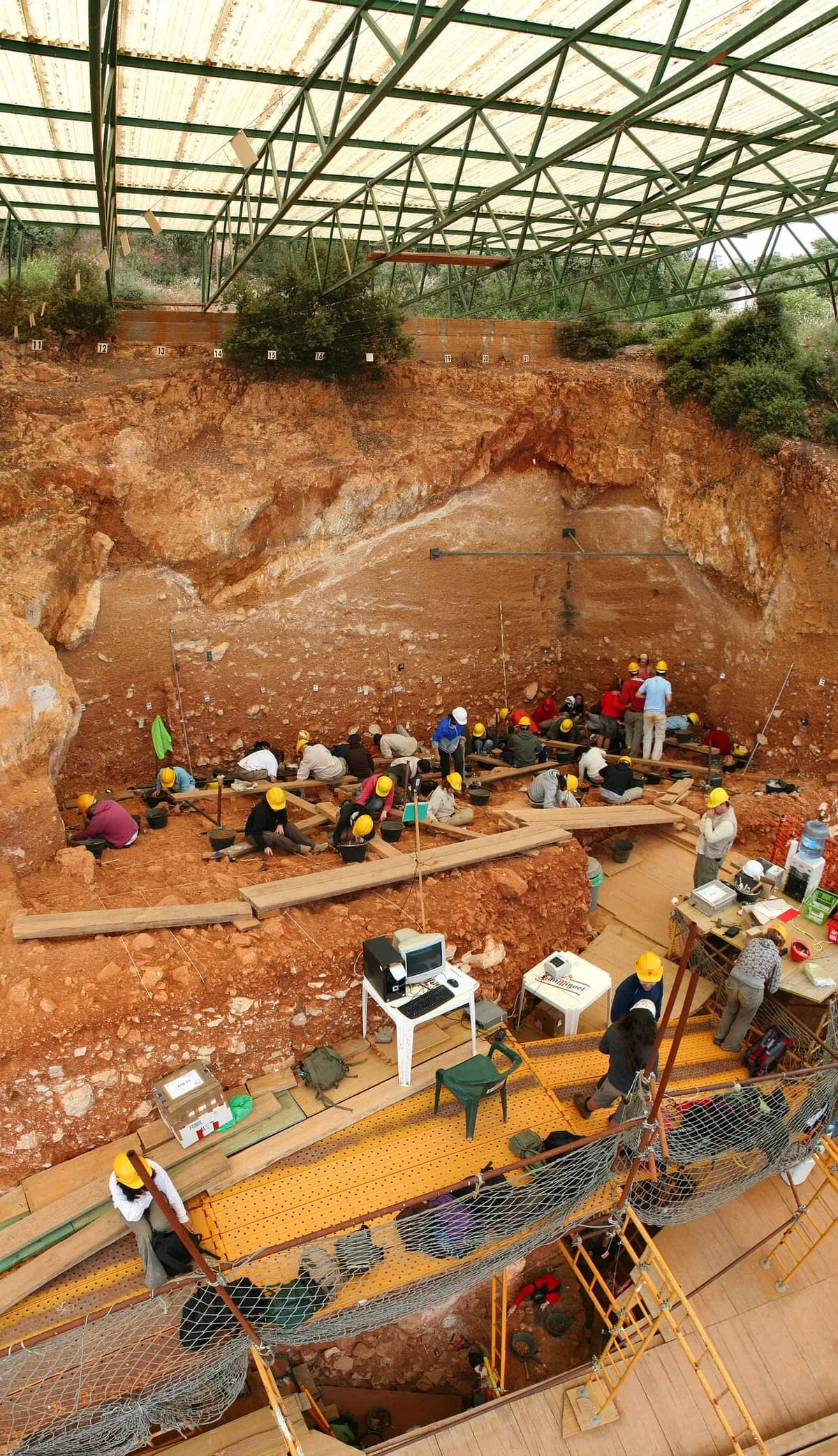 Sima del Elefante, Atapuerca